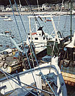 Trawler an der Mole