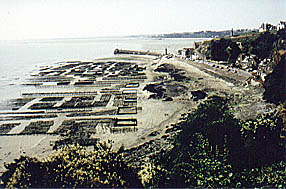 Die Austernzuchtanlagen bei Ebbe von der Pointe du Hock aus.