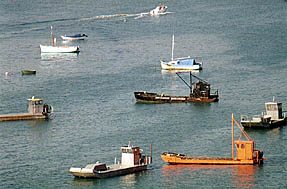 Boote der Austernzchter bei Flut zwischen den beiden Molen.